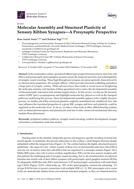 Molecular Assembly and Structural Plasticity of Sensory Ribbon Synapses—A Presynaptic Perspective