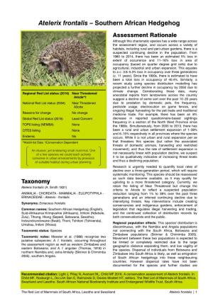 Atelerix Frontalis – Southern African Hedgehog