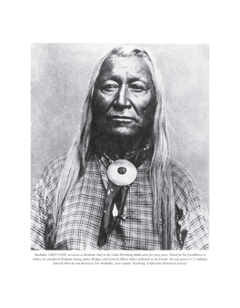 Washakie (1804?–1900) Served As a Shoshone Chief in the Utah–Wyoming–Idaho Area for Sixty Years