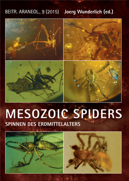 Mesozoic Spiders Beitr