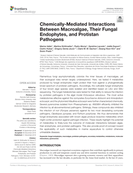 Chemically-Mediated Interactions Between Macroalgae, Their Fungal Endophytes, and Protistan Pathogens