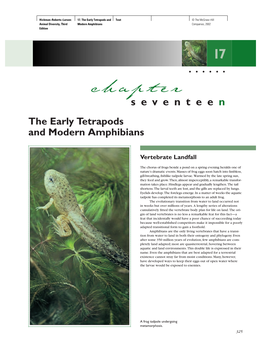Seventee N the Early Tetrapods and Modern Amphibians
