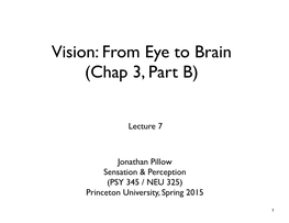 Vision: from Eye to Brain (Chap 3, Part B)