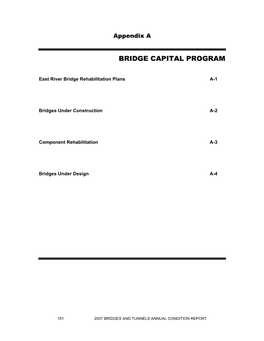 Bridge Capital Program