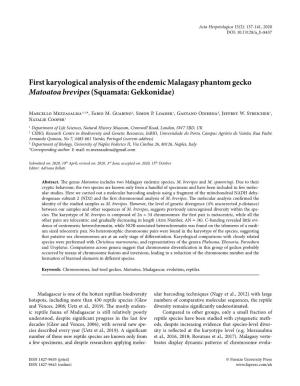 First Karyological Analysis of the Endemic Malagasy Phantom Gecko Matoatoa Brevipes (Squamata: Gekkonidae)