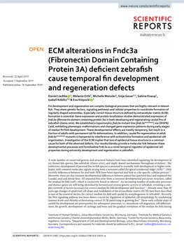 ECM Alterations in Fndc3a (Fibronectin Domain Containing