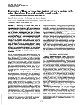 Expression of Rous Sarcoma Virus-Derived Retroviral Vectors In