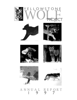 Yellowstone Wolf Project: Annual Report, 1997