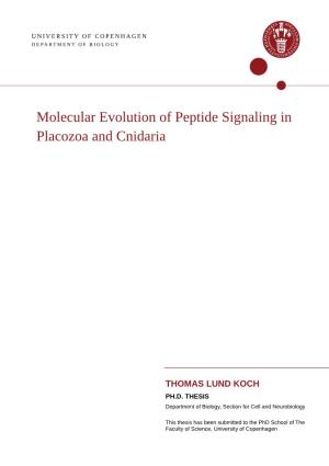 Molecular Evolution of Peptide Signaling in Placozoa and Cnidaria