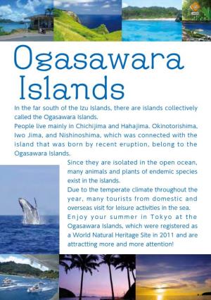 Ogasawara Islands in the Far South of the Izu Islands, There Are Islands Collectively Called the Ogasawara Islands