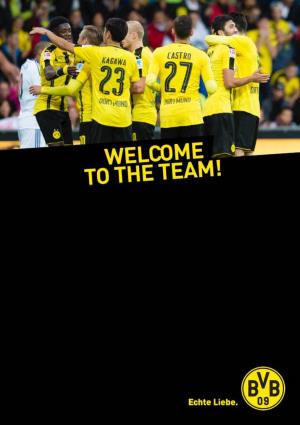 Borussia Dortmund Partner of the Bvb Asia Tour (Jp-Leg)