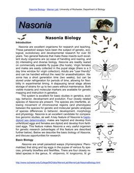 Nasonia Biology - Werren Lab, University of Rochester, Department of Biology