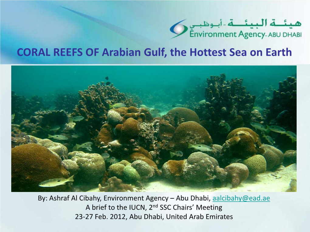 CORAL REEFS of Arabian Gulf, the Hottest Sea on Earth