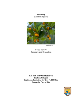Matabuey (Goetzea Elegans) 5-Year Review: Summary and Evaluation U.S. Fish and Wildlife Service Southeast Region Caribbean Ecolo