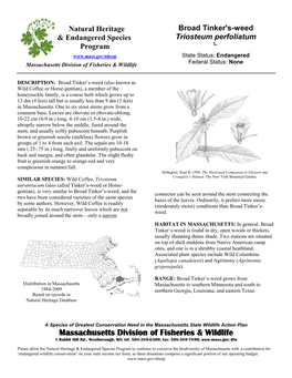 Broad Tinker's-Weed & Endangered Species Triosteum Perfoliatum L