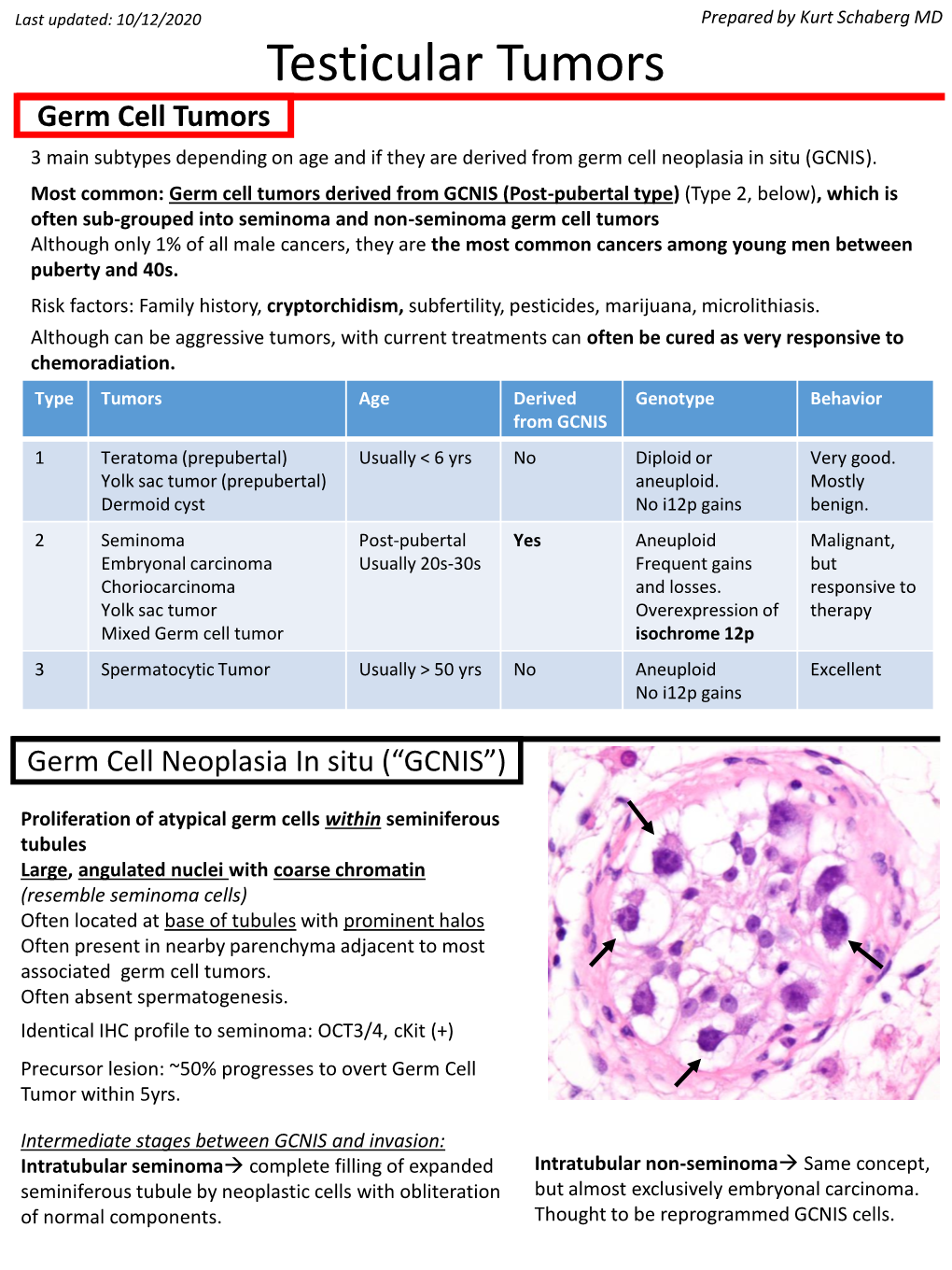 Testicular Tumors Germ Cell Tumors 3 Main Subtypes Depending On Age And