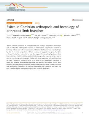 Exites in Cambrian Arthropods and Homology of Arthropod Limb Branches ✉ Yu Liu1,2, Gregory D
