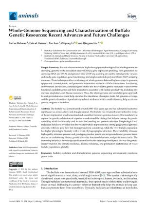 Whole-Genome Sequencing and Characterization of Buffalo Genetic Resources: Recent Advances and Future Challenges