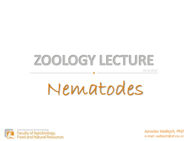 Zoology Lecture