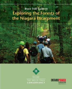Bruce Trail Guide to Exploring the Forests of the Niagara Escarpment