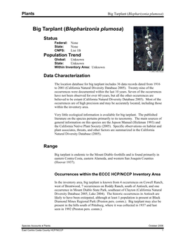 Big Tarplant (Blepharizonia Plumosa)