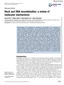 Reca and DNA Recombination: a Review of Molecular Mechanisms