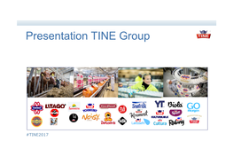 Presentation TINE Group