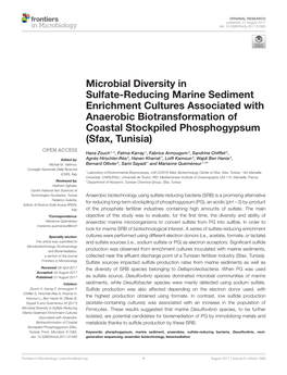 Microbial Diversity in Sulfate-Reducing Marine Sediment Enrichment