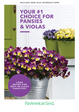 Your #1 Choice for Pansies & Violas