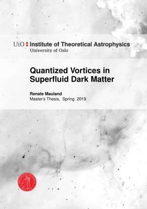 Quantized Vortices in Superfluid Dark Matter