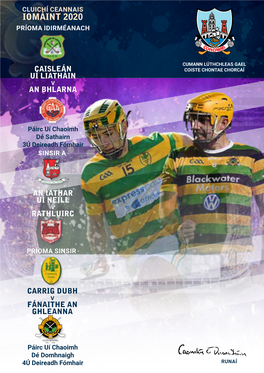 Hurling Final Programme