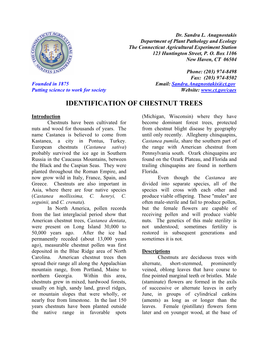 Identification of American Chestnut Trees