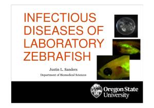 Infectious Diseases of Laboratory Zebrafish