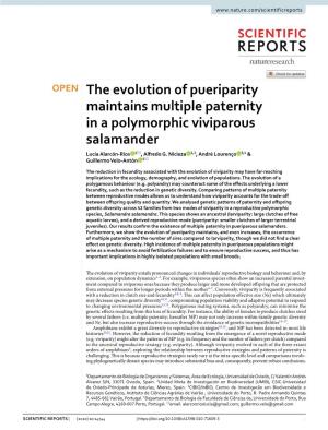 The Evolution of Pueriparity Maintains Multiple Paternity in a Polymorphic Viviparous Salamander Lucía Alarcón‑Ríos 1*, Alfredo G