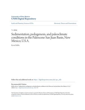 Sedimentation, Pedogenesis, and Paleoclimate Conditions in the Paleocene San Juan Basin, New Mexico, U.S.A