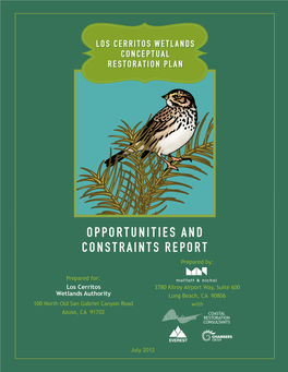 Opportunities and Constraints Report