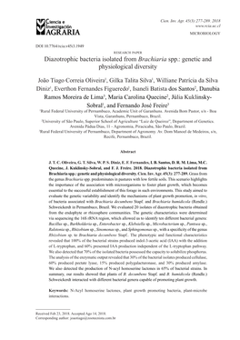 Diazotrophic Bacteria Isolated from Brachiaria Spp.: Genetic and Physiological Diversity