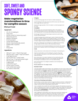 Soft, Sweet and Spongy Science 1