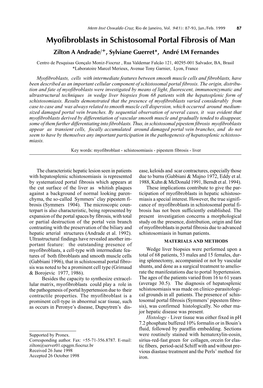 Myofibroblasts in Schistosomal Portal Fibrosis Of