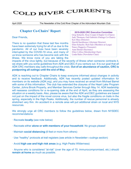 Chapter Co-Chairs' Report