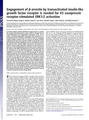 Engagement of Β-Arrestin by Transactivated Insulin-Like Growth Factor Receptor Is Needed for V2 Vasopressin Receptor-Stimulated ERK1/2 Activation