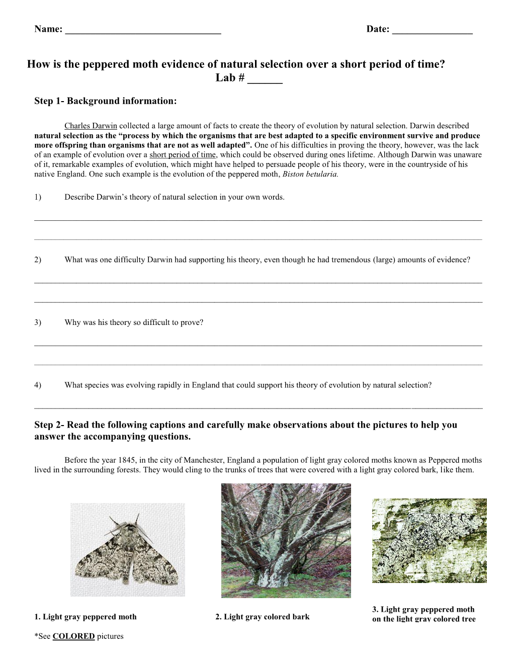 How Is the Peppered Moth Evidence of Natural Selection Over a Short Period of Time? Lab # ______