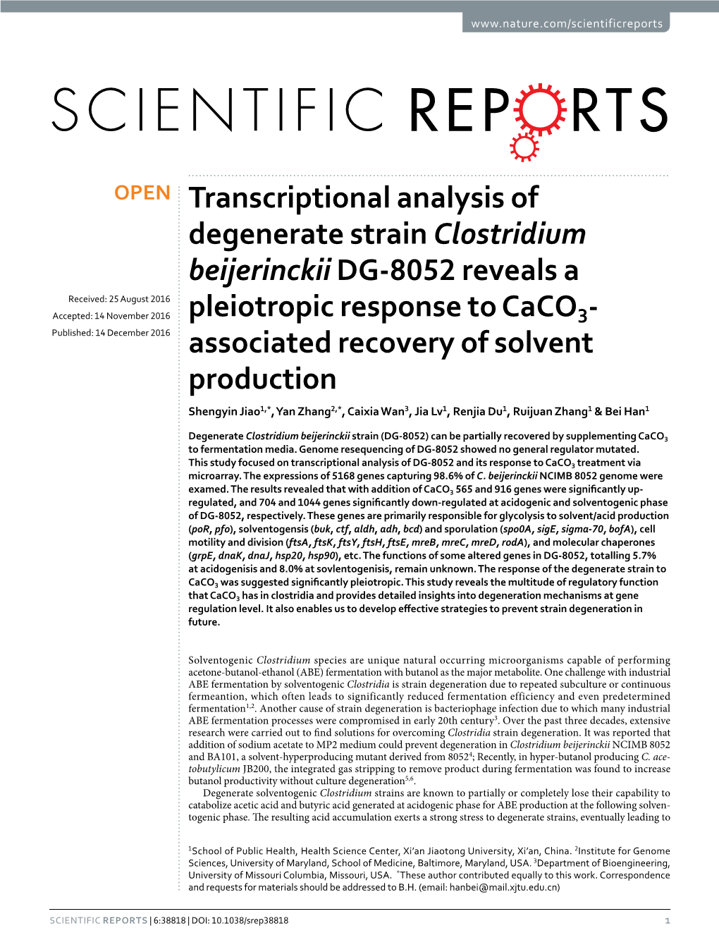 Transcriptional Analysis of Degenerate Strain Clostridium Beijerinckii DG
