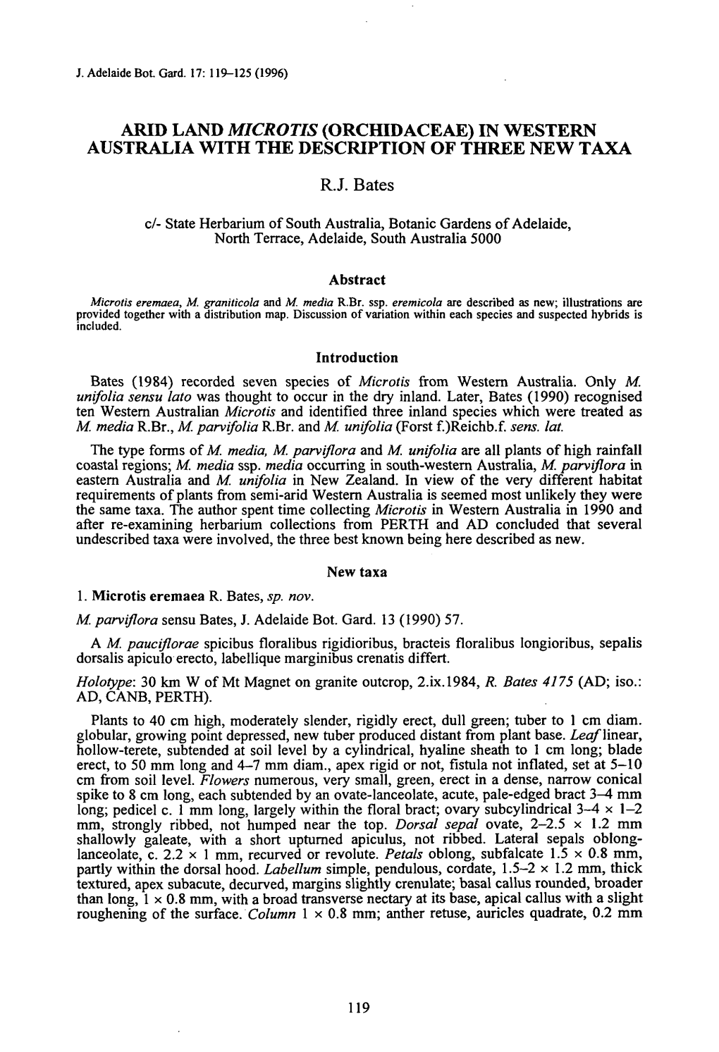 Arid Land Microtis (Orchidaceae) in Western Australia with the Description of Three New Taxa