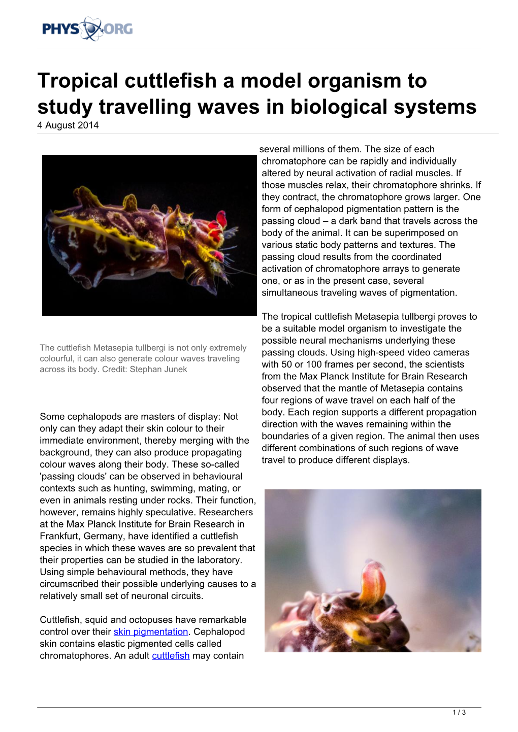 Tropical Cuttlefish a Model Organism to Study Travelling Waves in Biological Systems 4 August 2014