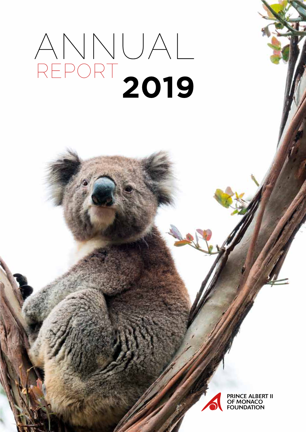 ANNUAL REPORT 2019 Taking Positive Action Means First of All Creating a Shared Destiny