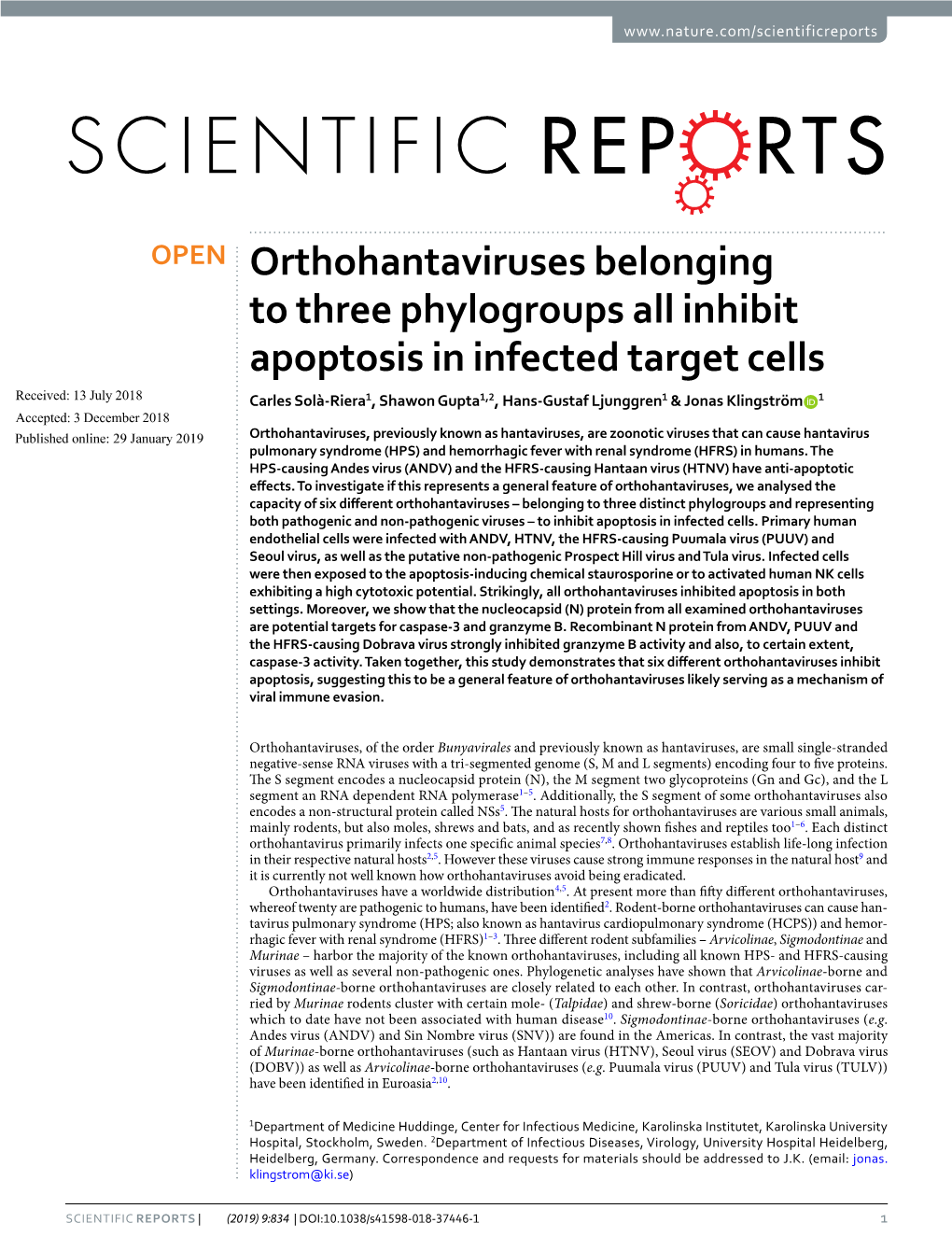 Orthohantaviruses Belonging to Three Phylogroups All Inhibit Apoptosis in Infected Target Cells