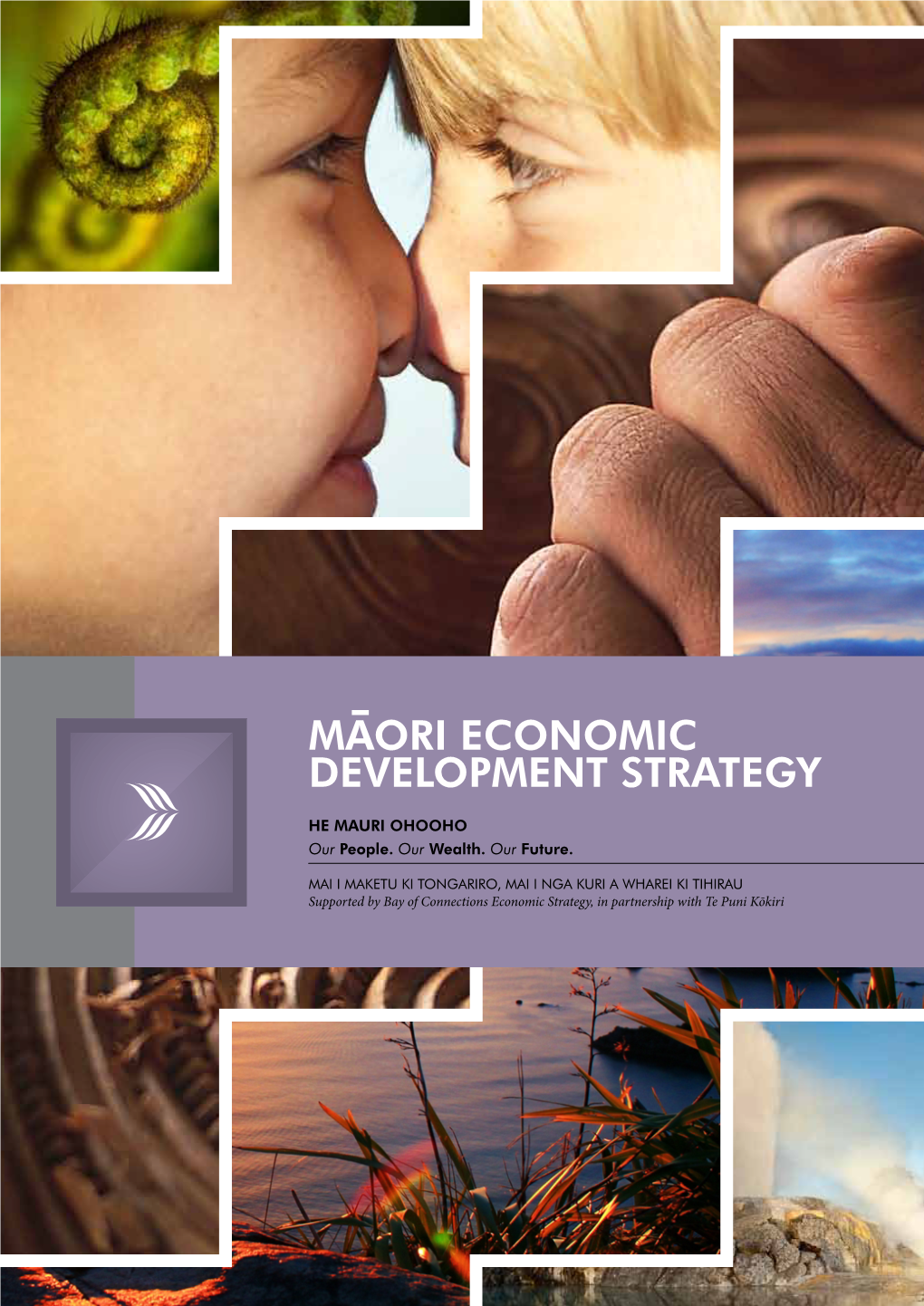Maori Economic Development Strategy