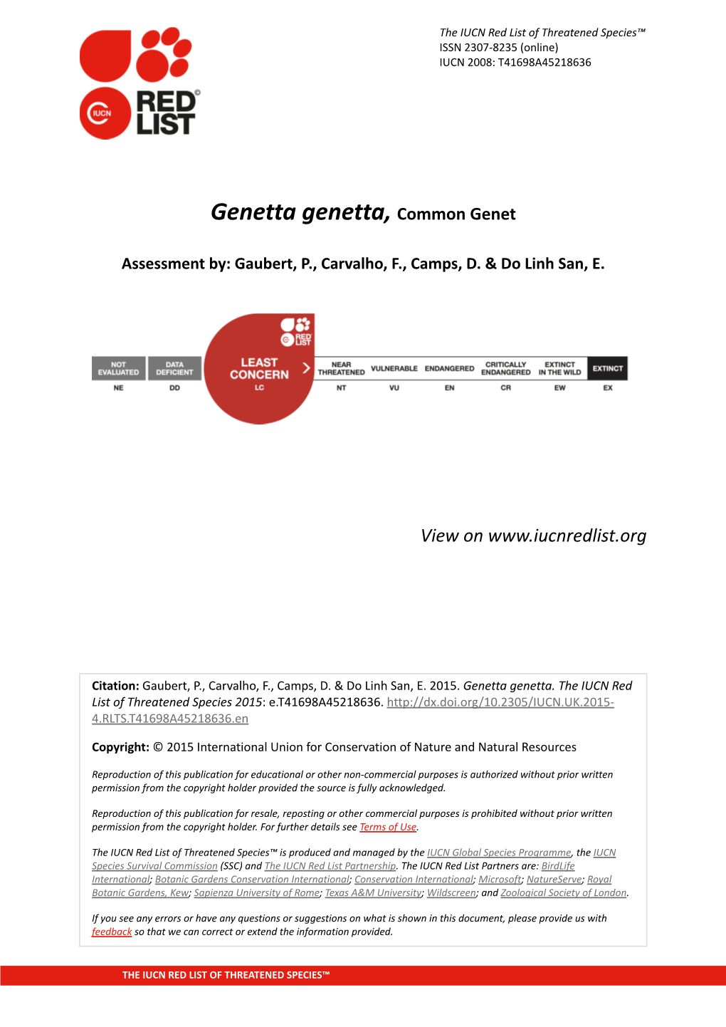 Genetta Genetta, Common Genet