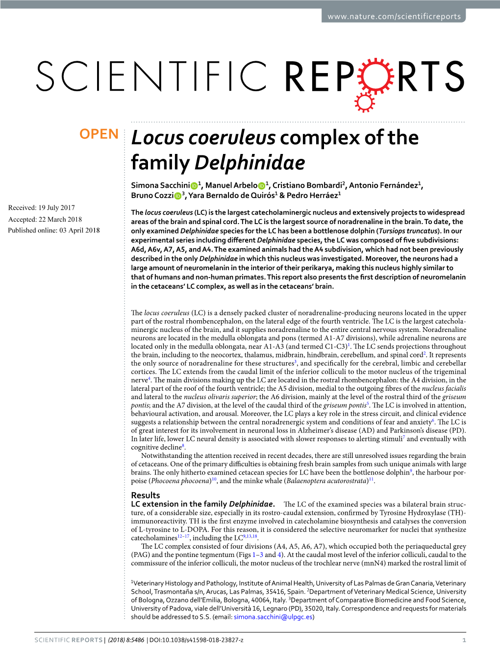 Locus Coeruleus Complex of the Family Delphinidae